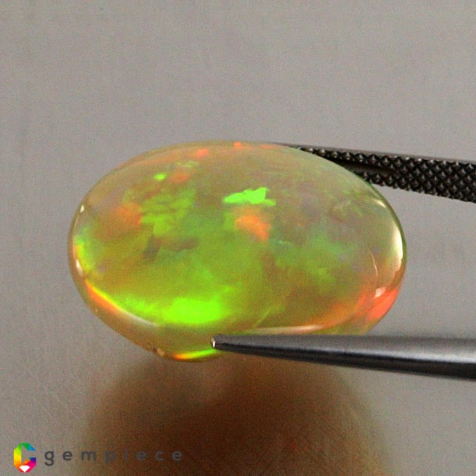Showing image for Opal Opal image