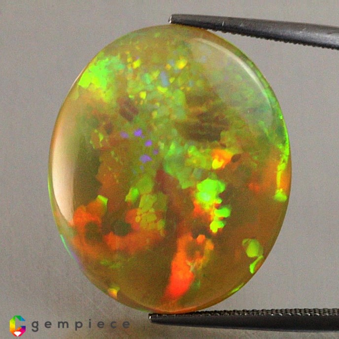 Showing image for Opal Opal image
