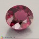 rhodolite garnet Rhodolite Garnet image