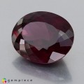 Natural Rhodolite garnet 18.39 Carats Reddish Pink Oval 18x14 mm Loose Gemstone - Image 2