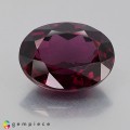 Natural Rhodolite garnet 16.45 Carats Purplish Red Oval 17x13 mm Loose Gemstone - Image 1