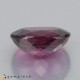 Showing image for rhodolite garnet rhodolite garnet image