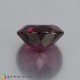 Showing image for rhodolite garnet rhodolite garnet Rhodolite Garnet image