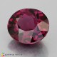Showing image for rhodolite garnet rhodolite garnet Rhodolite Garnet image
