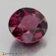 Showing image for rhodolite garnet rhodolite garnet Rhodolite Garnet image