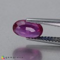 Natural Ruby 1.42 Carats Purplish Red Oval 8x5 mm Loose Gemstone - Image 3
