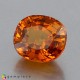 Showing image for sapphire sapphire image