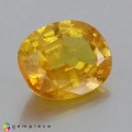 Natural Sapphire 5.83 Carats Vivid Yellow Oval Cushion 12x10 mm Loose Gemstone - Image 2