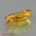 Natural Sapphire 1.44 Carats Vivid Yellow Oval 8x6 mm Loose Gemstone - Image 3