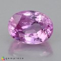Natural Sapphire 2.01 Carats Pink Oval 8x6 mm Loose Gemstone - Image 3