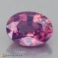 Natural Sapphire 1.25 Carats Purplish Pink Oval 7x5 mm Loose Gemstone - Image 2