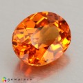 Natural Spessartite garnet 1.54 Carats Fanta Orange Oval 7x6 mm Loose Gemstone - Image 2