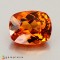 spessartite garnet  1.77cts - 7x6mm