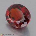 Natural Spessartite garnet 6.24 Carats Coke Red  Oval 12x10 mm Loose Gemstone - Image 2