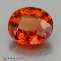 Natural Spessartite garnet 1.60 Carats Vivid Orange Oval 7x6 mm Loose Gemstone - Image 2