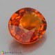 Showing image for spessartite garnet spessartite garnet Spessartite Garnet image