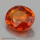 Showing image for spessartite garnet spessartite garnet Spessartite Garnet image