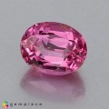 Natural Spinel 1.59 Carats Hot Pink Oval 7x6 mm Loose Gemstone - Image 3
