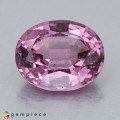 Natural Spinel 2.71 Carats Sweet Pink Oval 9x8 mm Loose Gemstone - Image 1