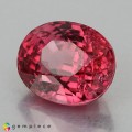 Natural Spinel 2 Carats Hot Pink Oval Cushion 8x6 mm Loose Gemstone - Image 2