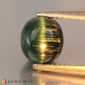 Natural Tourmaline cats eye 3.49 Carats Blue Oval Cabochon 8x8 mm Loose Gemstone - Image 2