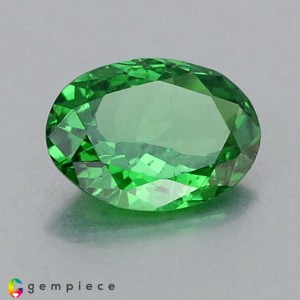 tsavorite garnet  0.88cts - 8x6mm tsavorite garnet  0.88cts - 8x6mm