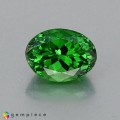 Natural Tsavorite garnet 1.06 Carats Chrome Green Oval 7x5 mm Loose Gemstone - Image 3