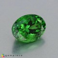 Natural Tsavorite garnet 1.06 Carats Chrome Green Oval 7x5 mm Loose Gemstone - Image 5