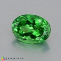 Natural Tsavorite garnet 1.10 Carats Chrome Green Oval 7x5 mm Loose Gemstone - Image 2
