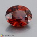 Natural Zircon 3.91 Carats Fiery Orange Oval 10x9 mm Loose Gemstone - Image 1