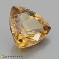 Natural Zircon 5.46 Carats Champagne Trilliant  11x11 mm Loose Gemstone - Image 4
