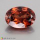 Showing image for zircon zircon image