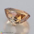 Natural Zircon 7.71 Carats Champagne Yellow Oval 11x10 mm Loose Gemstone - Image 4