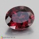 Showing image for zircon zircon image