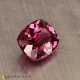 Showing image for malaya garnet malaya garnet Malaya Garnet image