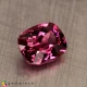 Showing image for malaya garnet malaya garnet Malaya Garnet image