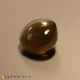 Showing image for chrysobeyl cats eye chrysobeyl cats eye Chrysoberyl Cats Eye image
