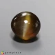 Showing image for chrysobeyl cats eye chrysobeyl cats eye Chrysoberyl Cats Eye image